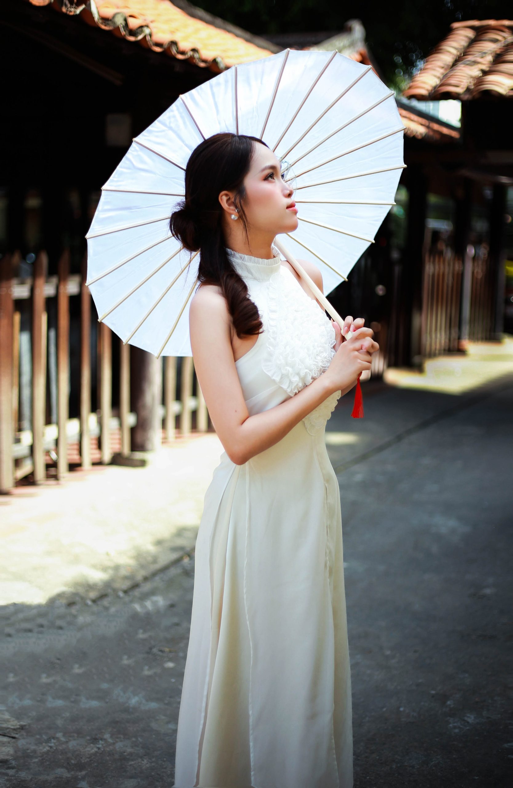 Ảnh đơn_Concept áo dài cách tân